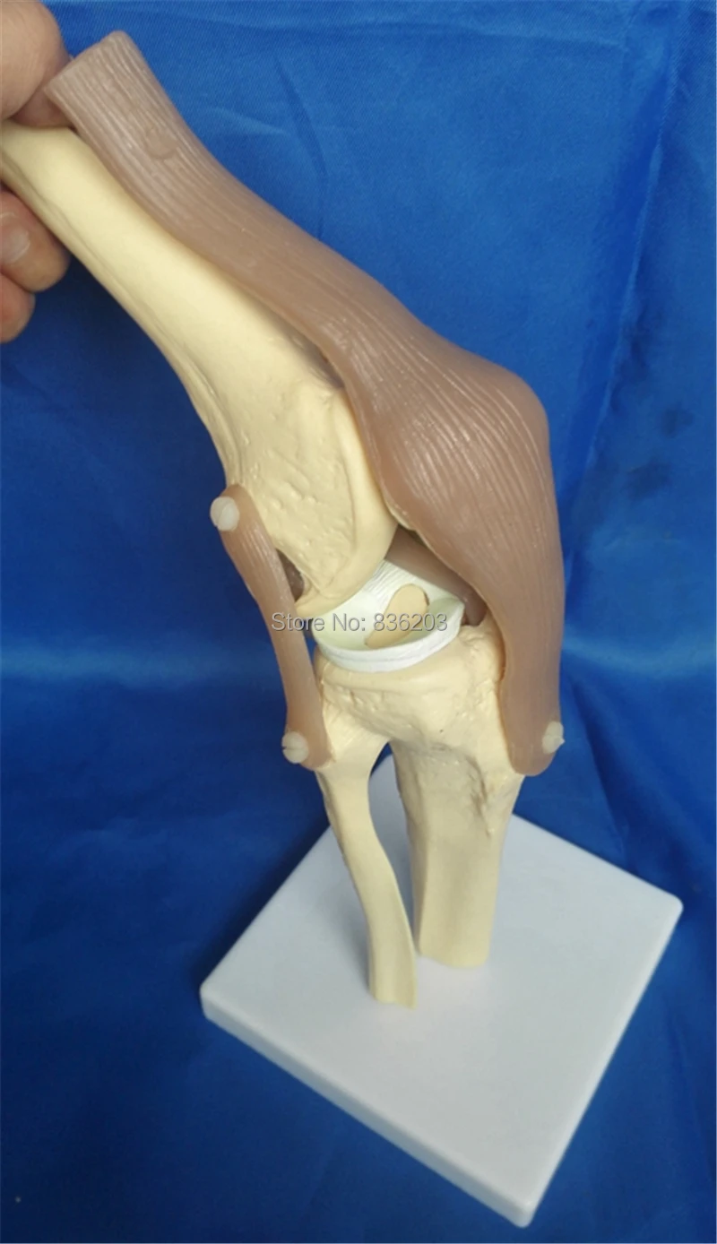 TB2FgZNcFXXXXXuXpXXXXXXXXXX_!!1583704310