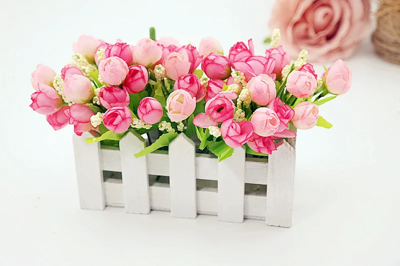 SAM_4854