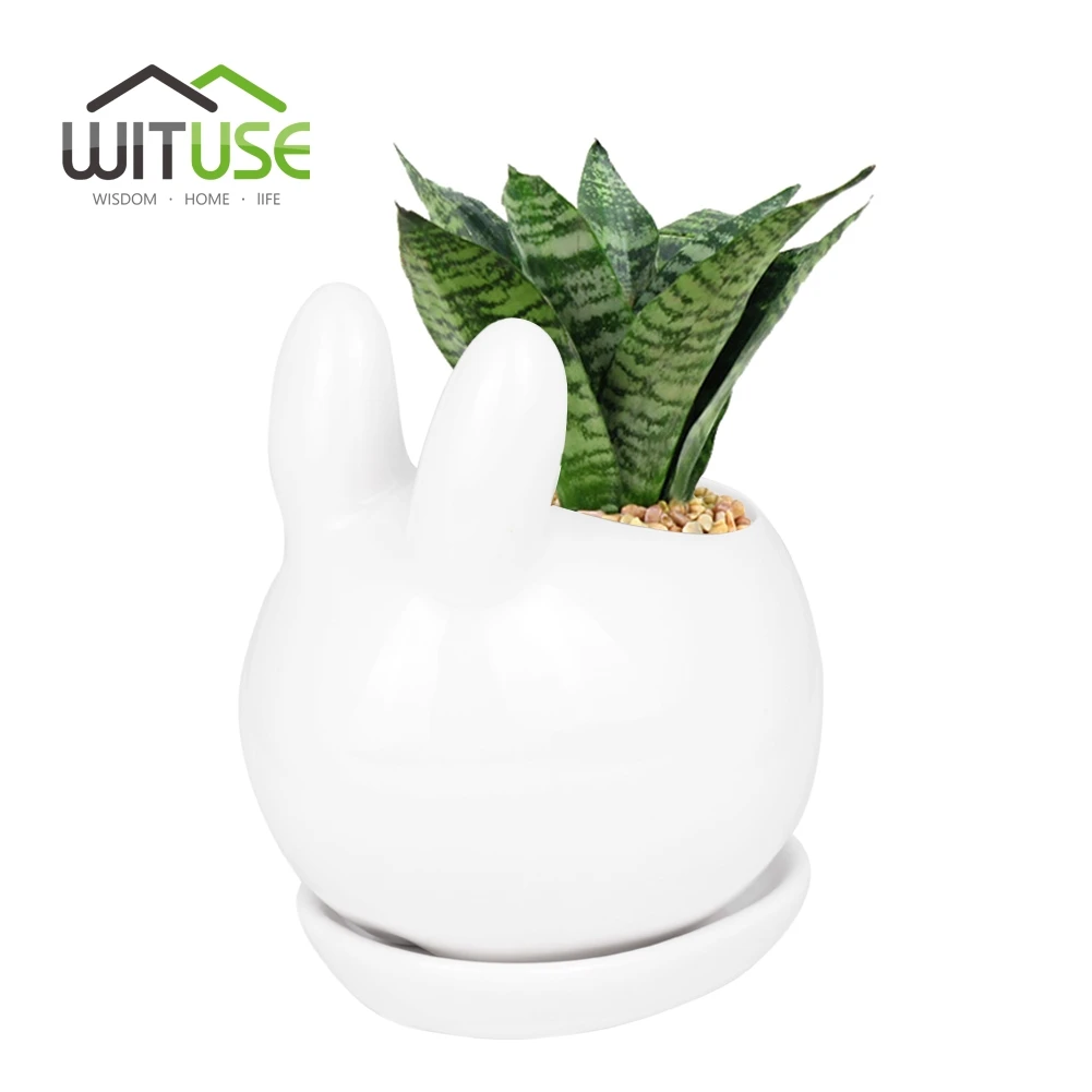 small plants for office wall mounted wituse animal puppy small pots mini potted succulents office decoration desk ceramic plants flower pot saucerin flower pots planters small plants for office wall mounted wituse animal puppy small pots mini potted succulents office decoration desk ceramic plants flower pot saucerin flower pots planters