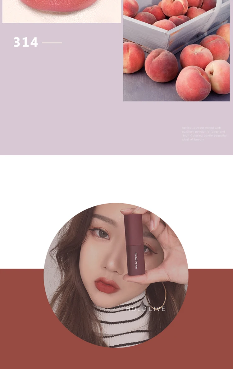 Brand HOLDLIVE 5Pcs Velvet Matte Lipstick Set (11)