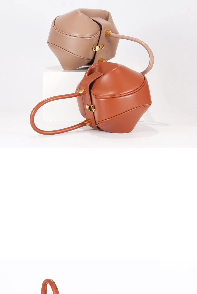 Designer Inspired Women Handbag High Quality Genuine Leather Famous Brand Shoulder Bag Runway Fashion Bag for Women 2019 (3)
