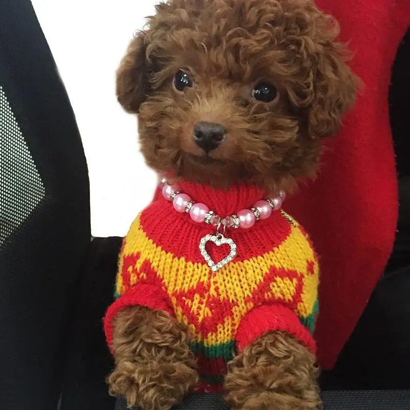

HobbyLane Fashion Pet Puppy Dog Cat Piggy Pearl Necklace Pendant Pet Accessories Dogs Cats Collar