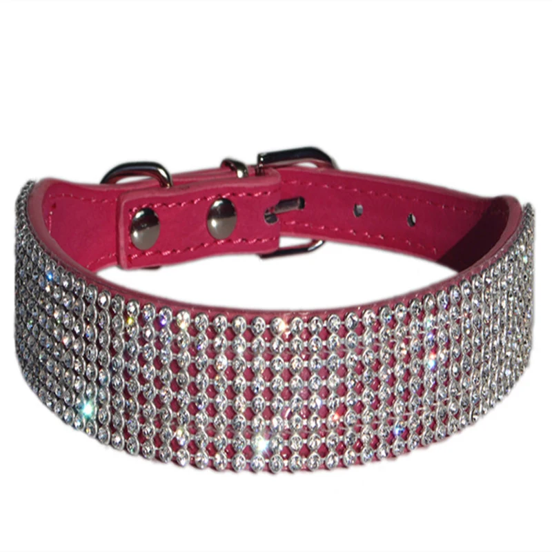 diamond studded dog collar