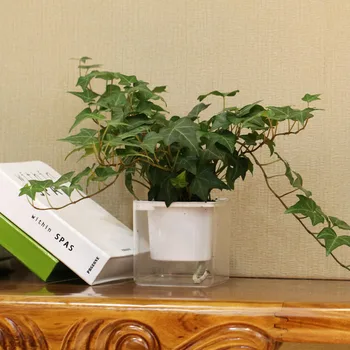

Transparent Margic square lazy self absorption water creative personalized paint porcelain plastic flower pot for graden plant
