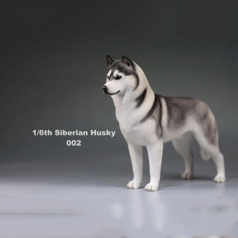 6 цветов, аксессуары для 1:6, Siberian Husky Simulation animals, фигурка для шестилетней собаки, модель игрушки для 12 дюймов, фигурка