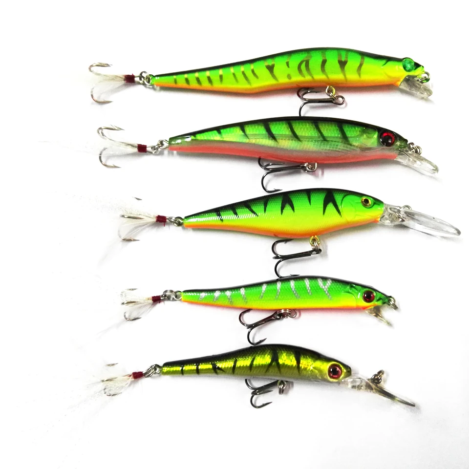 Tiger minnow Clearance