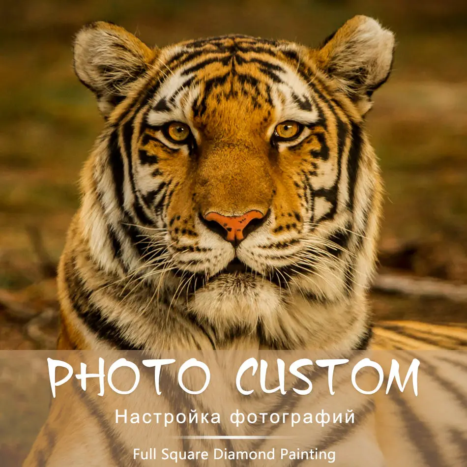

Custom Photo! Animals Full Square/Round Drill 5D DIY Diamond Painting Personal Custom Cross Stitch 3D Mosaic Embroidery Decor