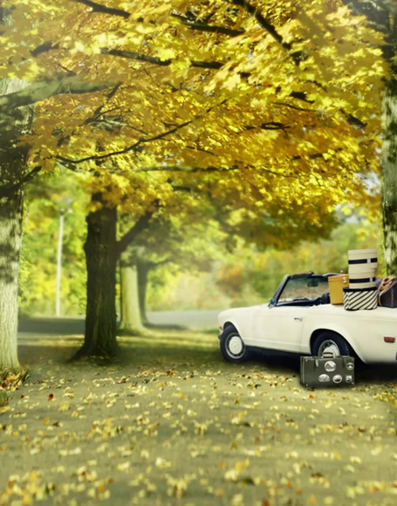 

5x7ft Yellow Leaves Tree Car Photography Backdrops Photo Props Studio Background