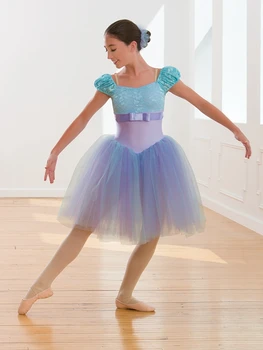 

Modern Ballet Dance Costumes Long Paragraph Skirt Tutu Stage Performance Clothing