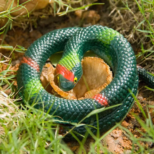 Zocdou 1 Piece 60cm Emulation Fake Simulation Snake Serpent Zocdou 1 Piece 60cm Emulation Fake Simulation Snake Serpent April Fools Day Statue Figurine Crafts Garden Diy Ornament