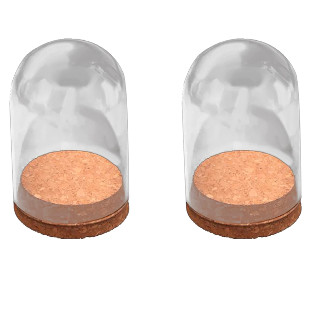 4Pcs-set Dome Clear Glas Wooden Cork Base Shade Cover Shield Shelf Display Home Decorations