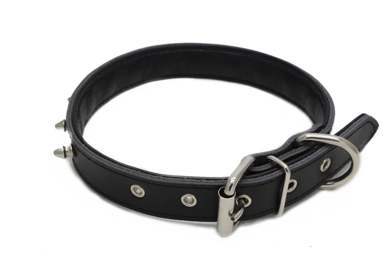 9 dog lead
