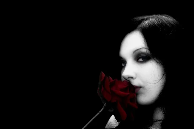 DIY frame dark horror gothic art vampires flowers roses face pale women