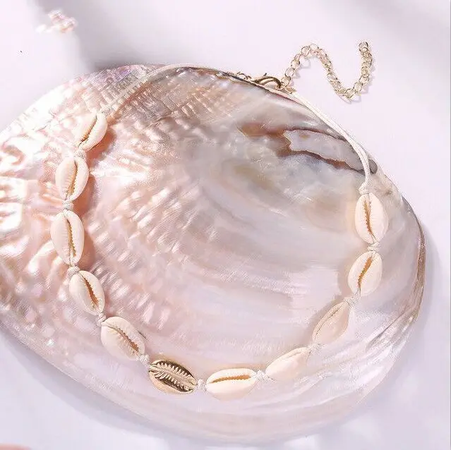 

1pc New Fashion Sea Shell Choker Necklace Rope Chain Natural Seashell Jewelry Simple Collar Necklace for Women 8574-8576