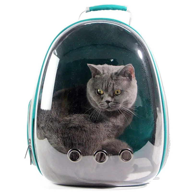 Danyan Cat Pack