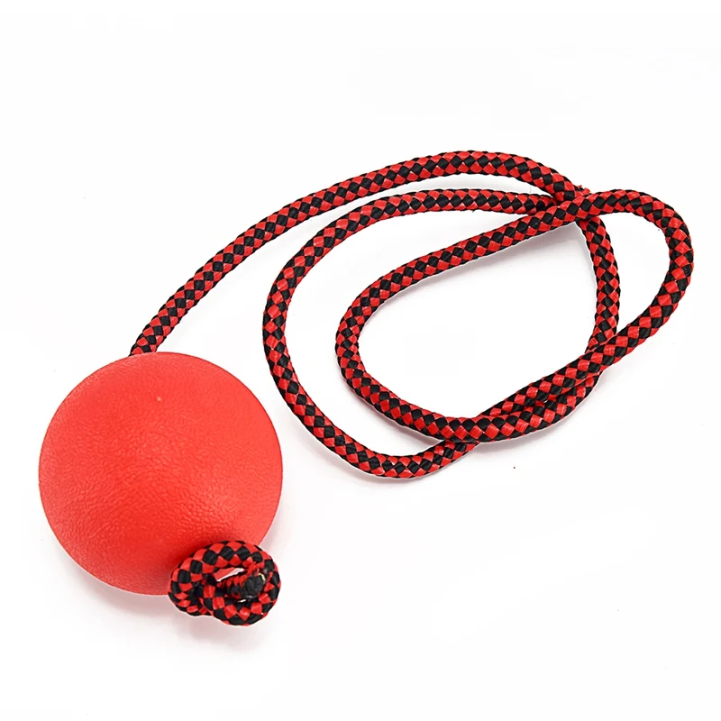 Dog Toys For Large Small Dogs Interactive Squeaky Dogs Puppy Toys Training Balls Rope Cat Scraper Dog Toothbrush Pet Products XLA009 (8)