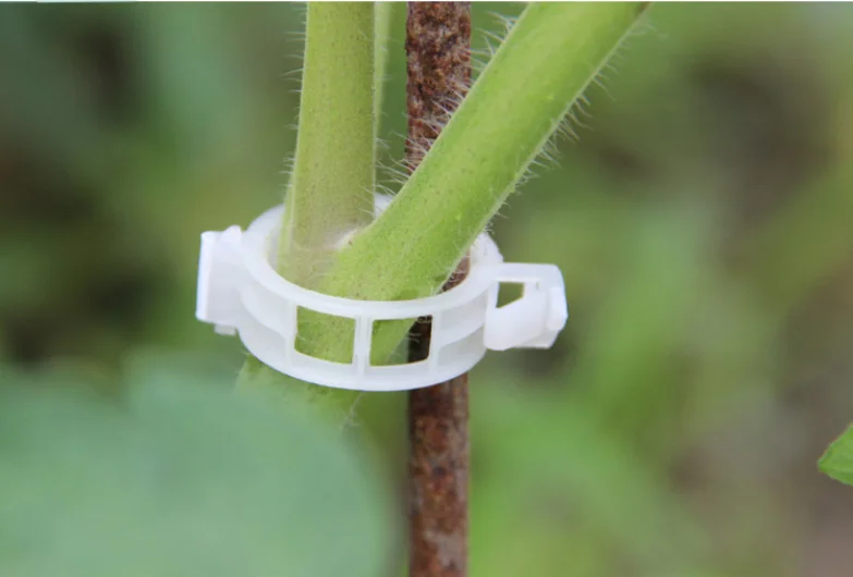 50pcs Durable Plastic Plant Support Clips For Types Plants Hanging Vine Greenhouse Vegetables Garden Ornament