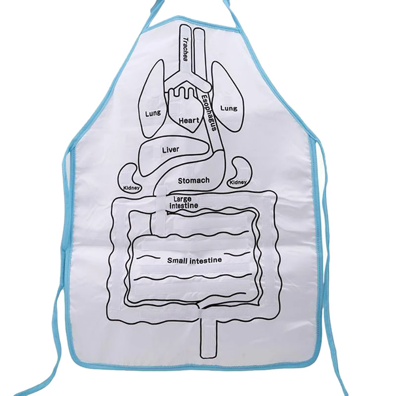Educational Insights Toys Children Anatomy Apron Human Body Organs Awareness Preschool Science Home School Teaching Aids 4