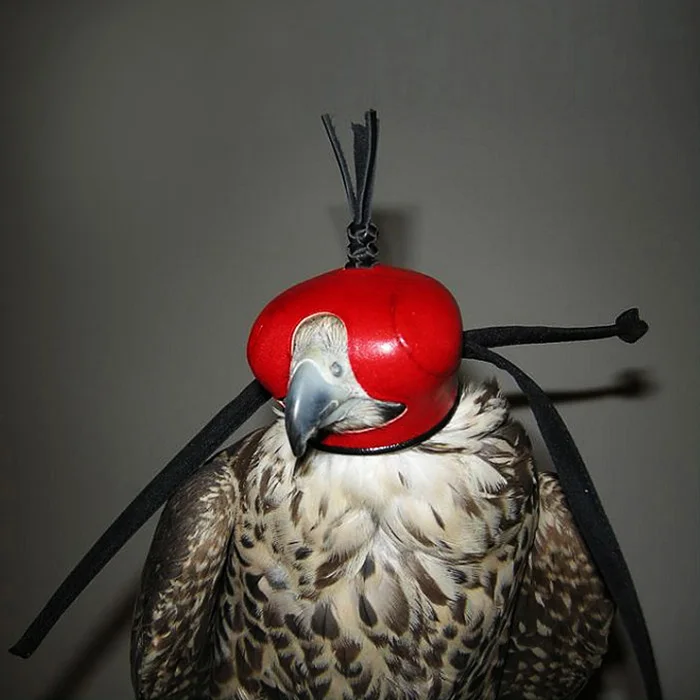 

Arabia Red Genuine Leather Headgear Eye Patch Eyeshade Blinkers Falconry Tactical Hunting Falco Hawk Black Eared Kite Winged Hat