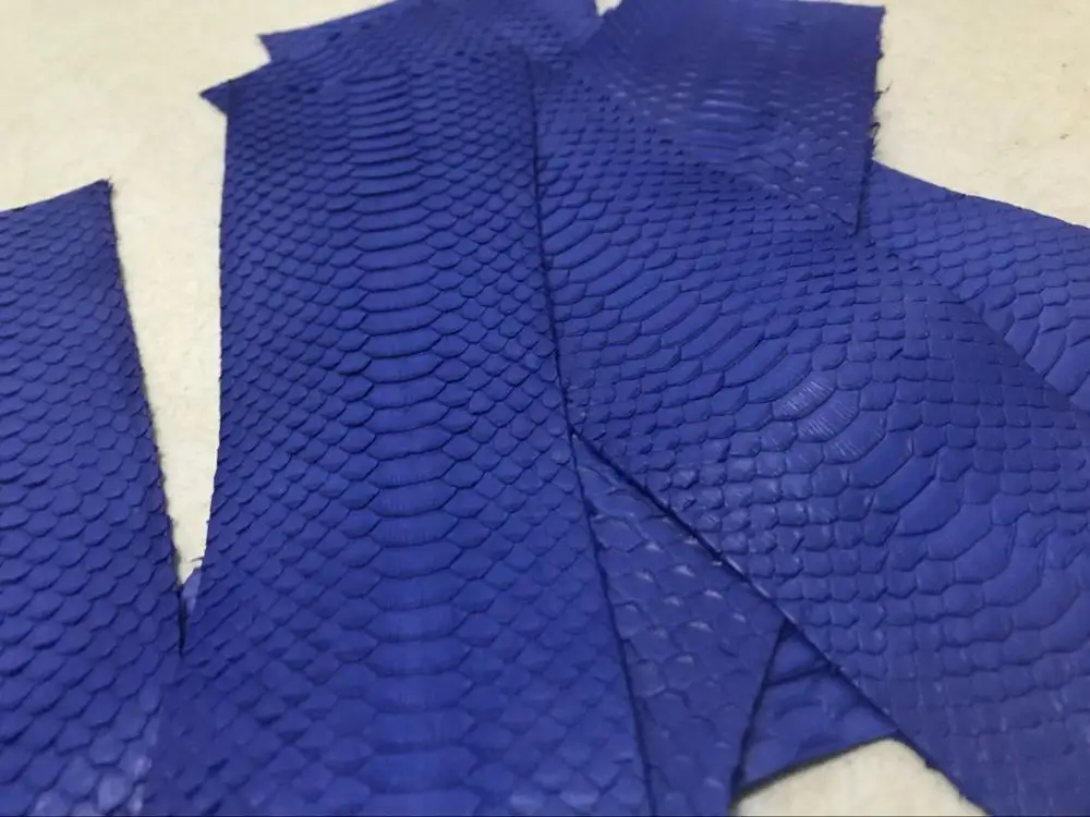 

SALE Genuine Snake Skin 5cm x 20cm