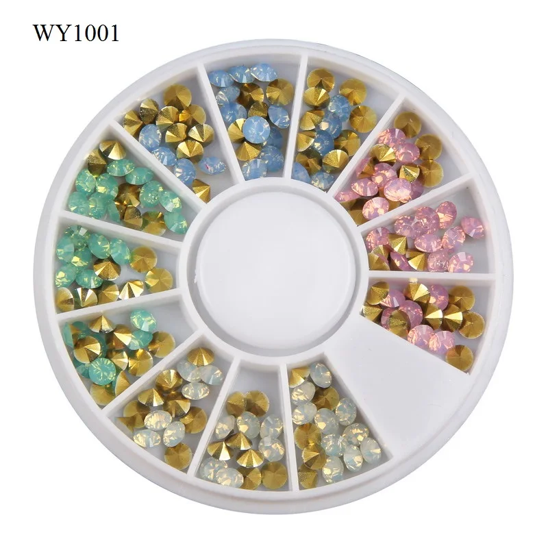 WY1001