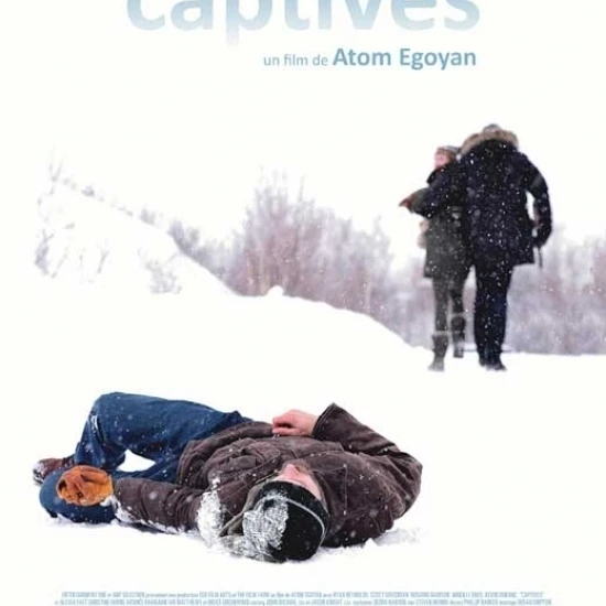 The Captive Movie Poster (27 x 40)