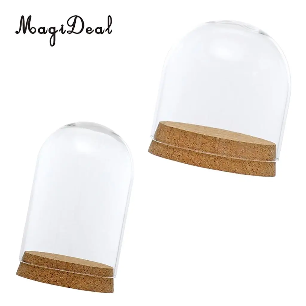 2pcs Clear Glass Display Dome Cover Cloche Bell Jar Succulent Terrariums with Wood Cork for Office Table Decor DIY
