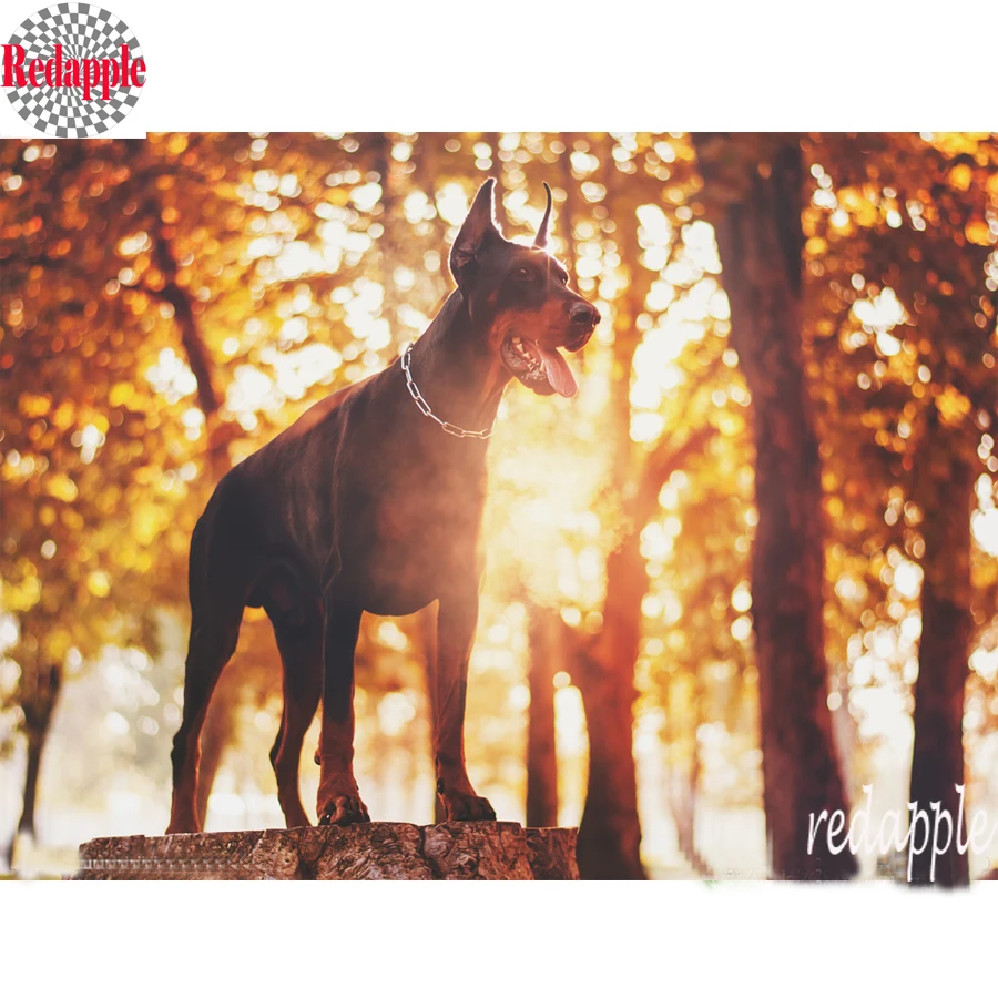 5D сделай сам алмазная живопись наборы для вышивки крестиком Doberman Pinscher ручной