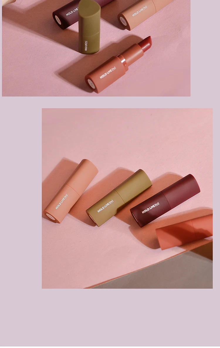 Brand HOLDLIVE 5Pcs Velvet Matte Lipstick Set (22)