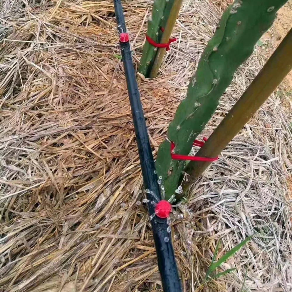 14860 (2)