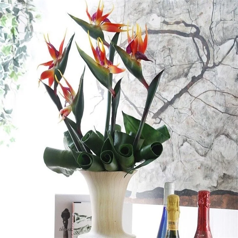 

high quality 1 piece Indoor Potted Plant Flower Orange Strelitzia bonsai Bird Of Paradise bonsai home decoration