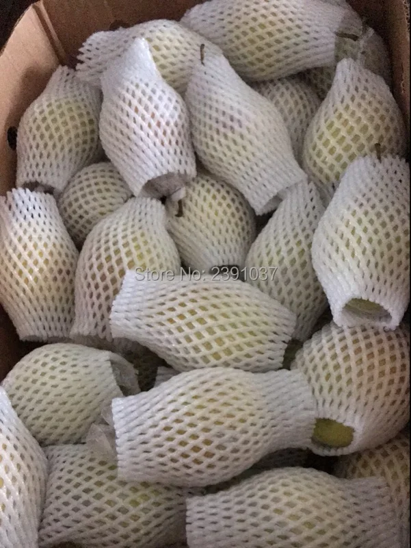 Buy 10cm*6cm 1200pcs Fruit foam for egg white EPE Foam