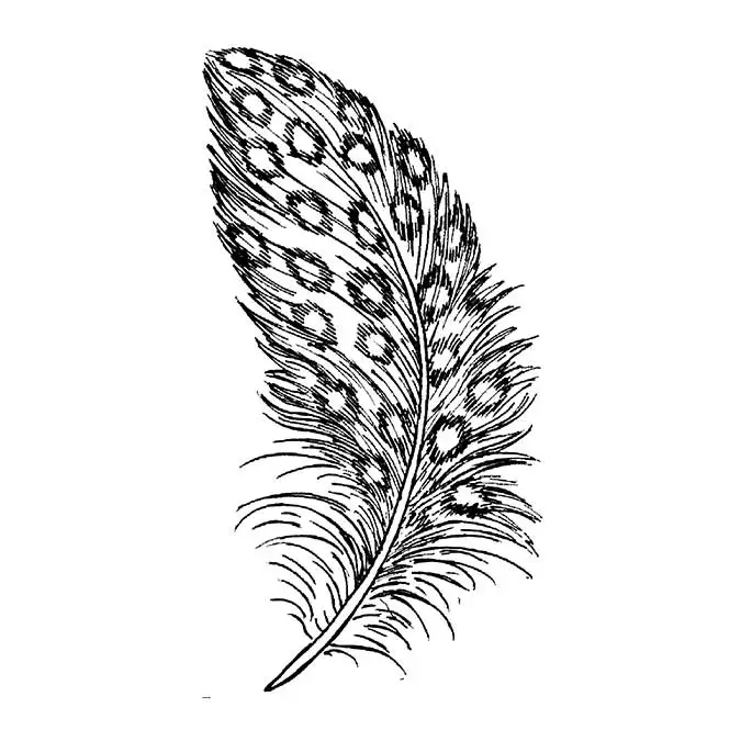 

Feather shee Transparent Clear Silicone Stamp/Seal for DIY scrapbooking/photo album Decorative clear stamp sheets A460