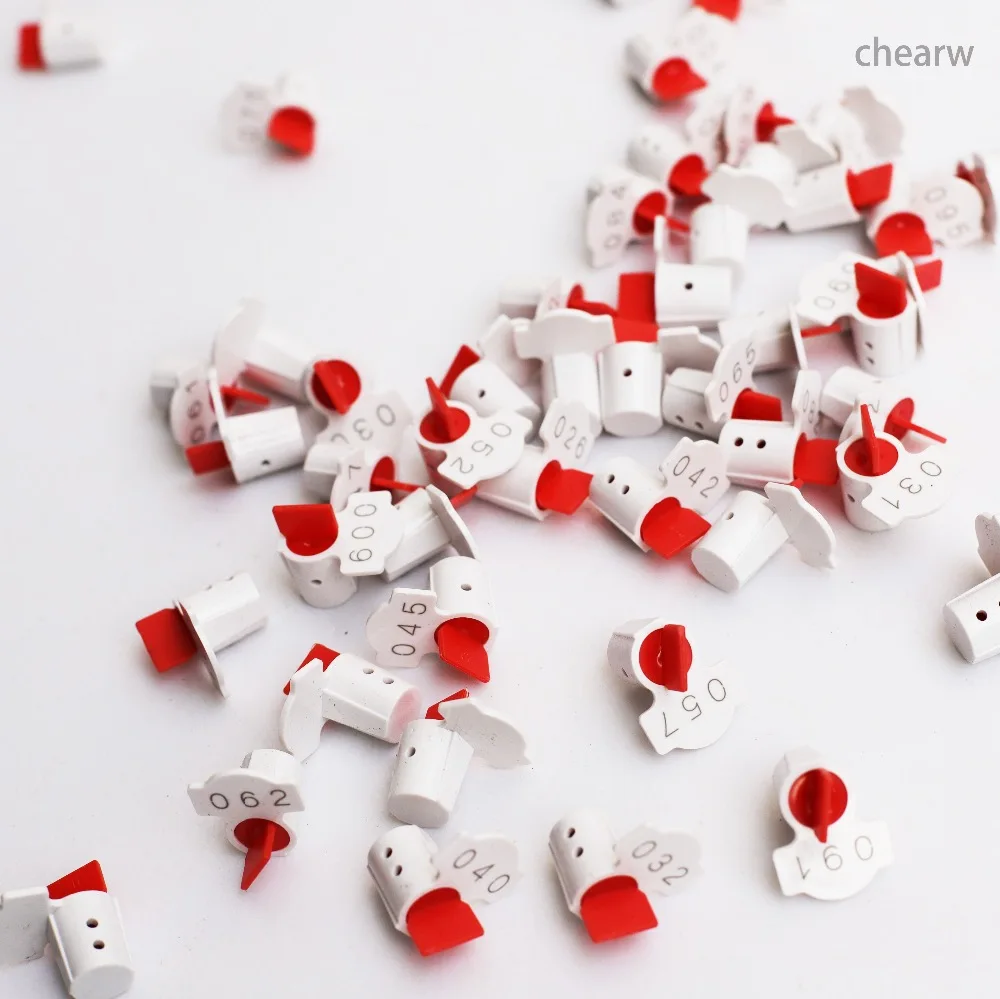 high quality renovacao da casa 02