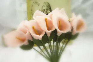 

Free shippin!!! 100pcs/lot light pink lily Flower Stuffing/ filler For Glass Cover Vials Pendant