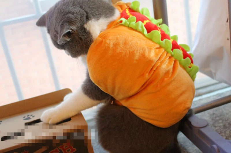 [MPK костюмы для домашних животных] костюм для собак и кошек, милый хот-дог костюм сэндвича, смешная хот-дог одежда, костюм для кошек