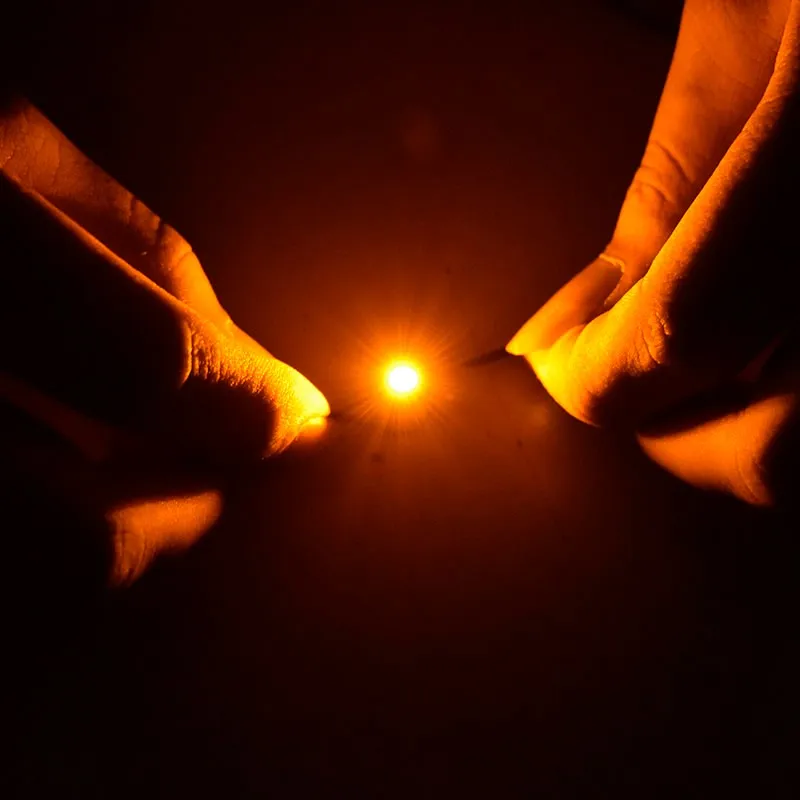 _ DSC0060