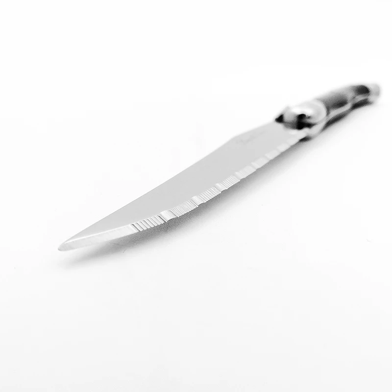 laguiole steak kinfe black  (5)