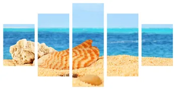 

2017 Unframed Canvas 5 Pieces Printed Nature Shell Seaview Wall Painting Home Wall Decoration