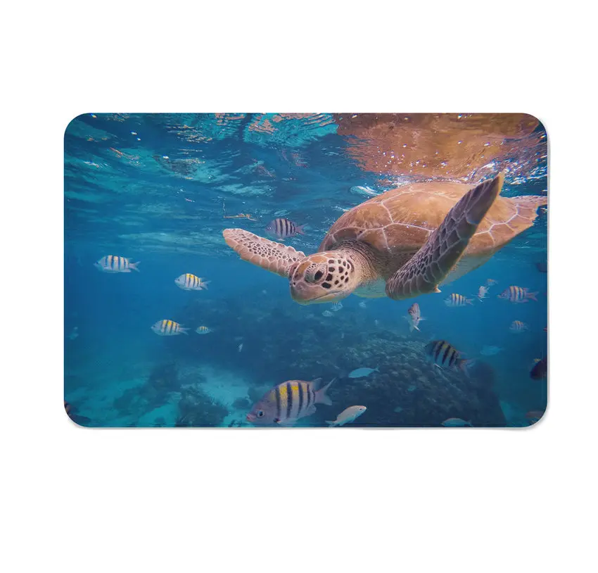 

Ocean Turtle Printed Door Entrance Mats Cactus Floor Mat In The Hallway for Kitchen Living Room Non-slip Carpet Doormat Rug