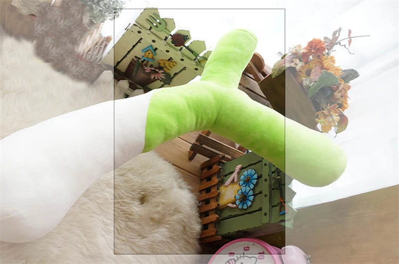  vegetable garlic toy14