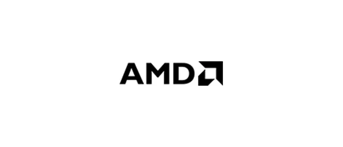 29. AMD