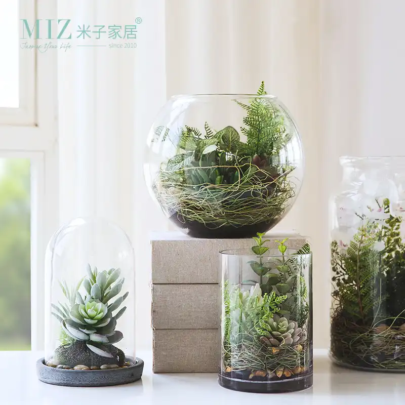 Miz Succulents Plants Vase Decoration Home Micro Landscape