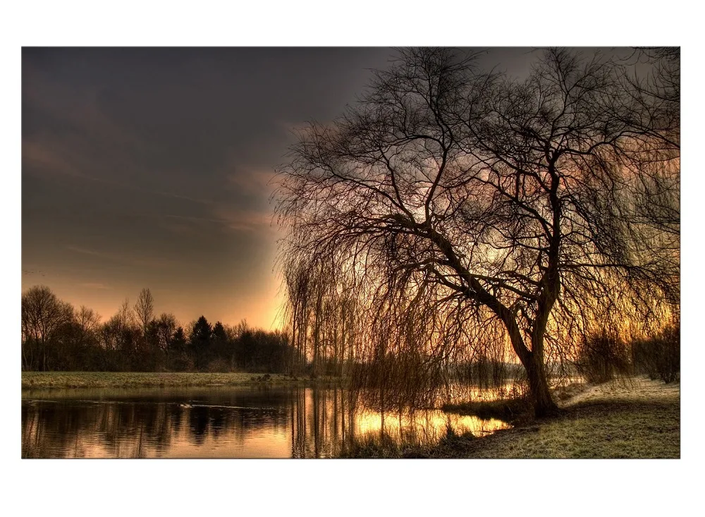 1 Panel Free Shipping Canvas Painting Sunset Lake Tree seascape Landscape Poster Printing Wall Art decor Picture print Framed | Дом и сад