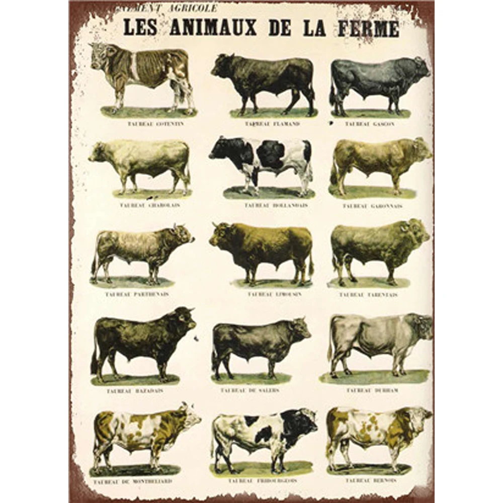 

Animals Shabby Chic Metal Wall Plaques Vintage Tin Signs Metal Poster Art Bar Pub Iron Painting Posters Wall Decorative Plate