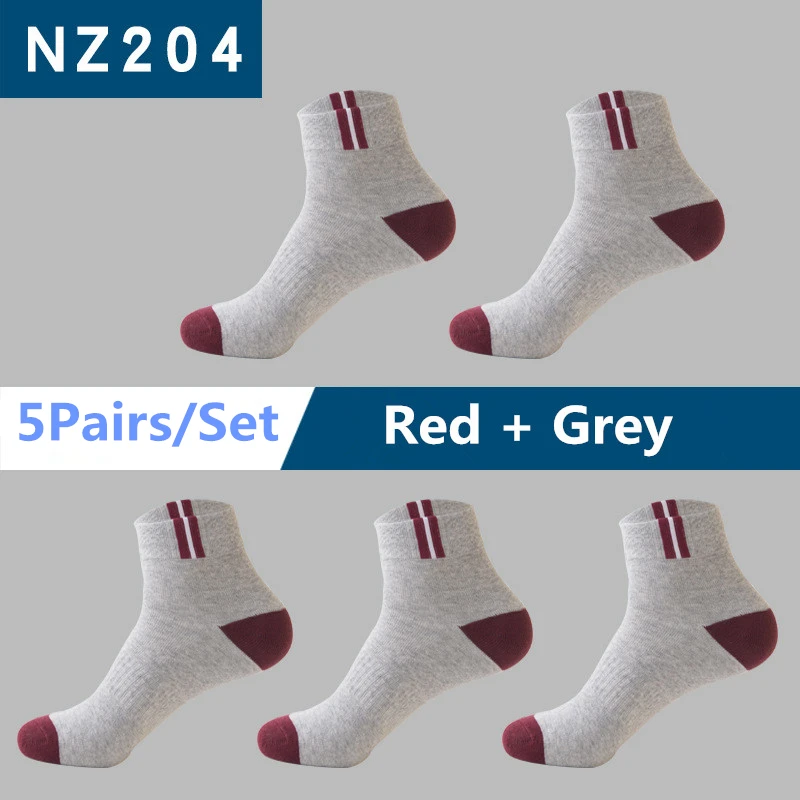 NZ204