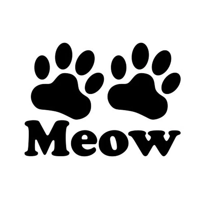 Meow Share