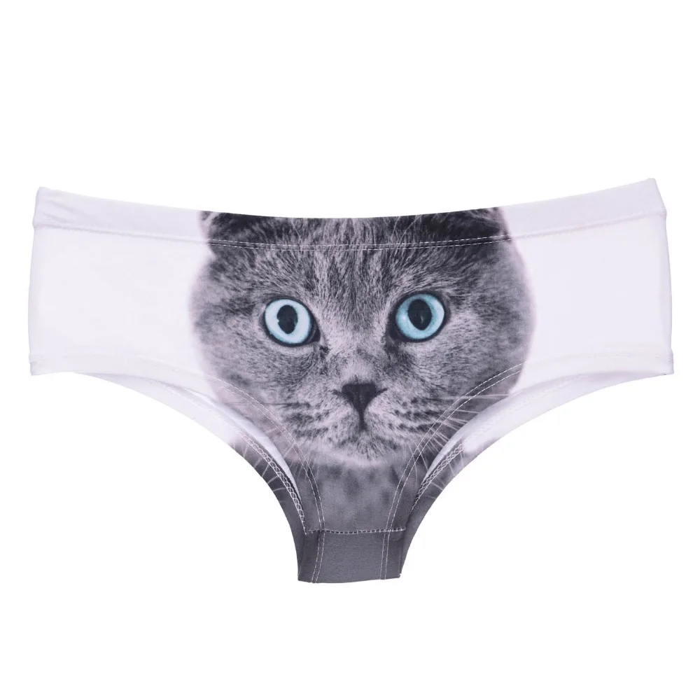 39432 british cat (3)