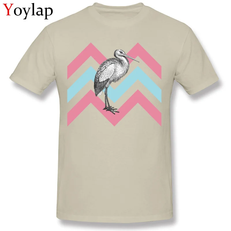 Wholesale Family Tops T Shirt Stork Chevron Fall Short Sleeve 100% Cotton Crew Neck Boy T Shirt Family Tee-Shirt Top Quality beige