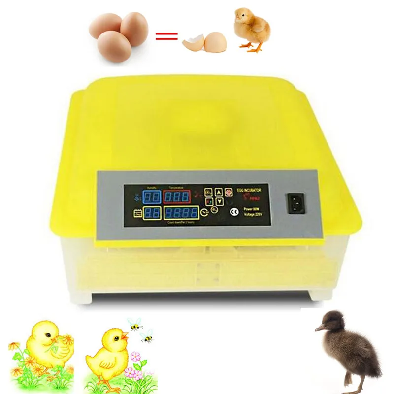 

48 eggs mini poultry incubator electronic display thermostat home automatic chicken egg incubator small incubator machine